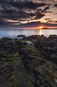  Rocky coast at sunset with tidal pool and green seaweed in the foreground. Shetland. 