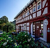 Schneewittchendorf Bergfreiheit im Kellerwald, Schneewittchenhaus in Fachwerkgebäude von 1736, Bergfreiheit, Stadt Bad Wildungen, Hessen, Deutschland