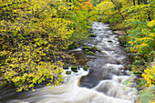  Bode, stream, Bodetal nature reserve, Saxony-Anhalt, Germany 