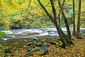  Bode, stream, Bodetal nature reserve, Saxony-Anhalt, Germany 