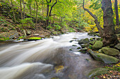 Bode, Bachlauf, Naturschutzgebiet Bodetal, Sachsen-Anhalt, Deutschland