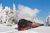  Brocken Railway, Harz Narrow Gauge Railway, in the snow, winter, Brocken, Harz National Park, Harz, Saxony-Anhalt, Germany 