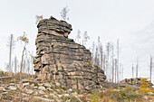 Feuersteinklippe, Sachsen-Anhalt, Deutschland