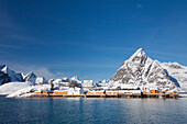  Houses in the fishing village Sakrisoy, winter, Lofoten, Norway 