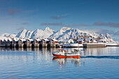  Houses and fishing boat in the harbor of Svolvaer, winter, Lofoten, Norway 