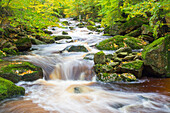 Bachlauf der Ilse, Nationalpark Harz, Sachsen-Anhalt, Deutschland