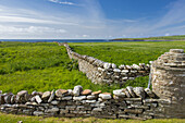 Historische Steinmauer bei Skara Brae, Orkney Inseln, Schottland, Grossbritannien