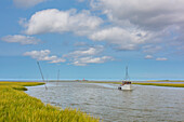  Westerhever Lighthouse, Wadden Sea National Park, North Frisia, Schleswig-Holstein, Germany 