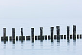  Groynes on the Baltic Sea beach, Zingst, Darss, Mecklenburg-Western Pomerania, Germany 