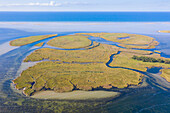 Blick auf die Inselgruppe Kleine Werder, Nationalpark Vorpommersche Boddenlandschaft, Mecklenburg-Vorpommern, Deutschland