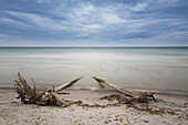 Strandlanschaft am Nordstrand bei Zingst, Nationalpark Vorpommersche Boddenlandschaft, Fischland-Darss-Zingst, Mecklenburg-Vorpommern, Deutschland