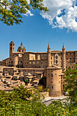 Blick auf Kathedrale Duomo diSanta Maria Assunta, Herzogspalast Palazzo Ducale und historisches Zentrum, Urbino, Pesaro, Marken, Italien, Europa