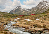 Rhätische Bahn Berninalinie am Lago Bianco mit Blick auf Piz Lagalb im Frühjahr, Berninapass, bei Pontresina, Engadin, Graubünden, Schweiz