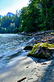 Flusslauf am Fluss Enns, Nationalpark Gesäuse, Ennstaler Alpen, Steiermark, Österreich