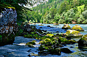  Gesäuse National Park, Styria-Austria. River Enns 