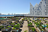 public O-Haven city garden in front of The Iceberg apartment building in the new quarter Aarhus Ø  constructed by the expansion of the harbour area, Aarhus, Jutland Peninsula, Denmark, Northern Europe