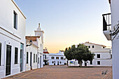 Alter Olivenbaum auf dem Pedro M.Cardona Platz am Abend, Dorf Fornells, Insel Menorca, Balearen, Spanien, Europa