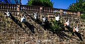  Grimm-Dich-Pfad Marburg, The Wolf and the Seven Little Goats, Marburg, Hesse, Germany 