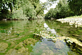 sonnenbeschienener Fluss mit Felsen und Vegetation, Kampanien, Italien, Europa