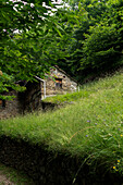 Rural scene featuring a wooden house nestled in the forest.