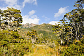 Landschaft in der Bucht Ainsworth Bay, Nationalpark Alberto de Agostini, Feuerland, Patagonien, Chile, Südamerika