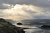 Landschaft am Kap Hoorn (Cabo de Hornos), Isla Hornos, Feuerland, Patagonien, Chile, Südamerika