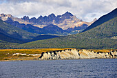 Beagle Channel bank near Puerto Williams,Navarino Island,Tierra del Fuego,Antarctic,Chile,South America