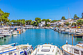  The harbor with boats of Porto Pedro, Mallorca, Spain 