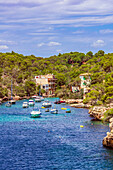  Harbor views of Cala Figuera on Mallorca, Spain 