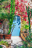 Mit Blumen bewachsenes Haus in der Bucht von Portopetro, Gemeindegebiet  Santanyí, Südostküste, Mallorca, Balearen, Spanien