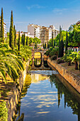  View of the La Riera Canal, Palma, Mallorca, Balearic Islands, Spain, Mediterranean, Europe 