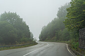 Landstraße bei Nebel in den Bergen im Kaukasus, Georgien, Vorderasien