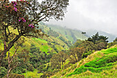 Berglandschaft im Nebel im Valle de Cocora, bei Solento, Hochtal in den Anden, Departement Quindío, Kolumbien, Südamerika