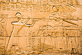 Inscriptions and hieroglyphs on the surrounding walls of the Great Hypostyle Hall in the Precinct of Amon-Re,  Karnak Temple Complex, Luxor, Egypt, Northeast Africa