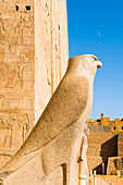 Statue des Horus neben dem ersten Pylon, Tempel von Edfu, Edfu, Oberägypten, Ägypten, Nordafrika