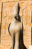 Statue of Horus in front of the entrance to the large hypostyle room, Temple of  Edfu, Egypt, Northern Africa