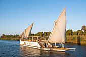 Dahabeah Schiff unter Segeln, Passagier-Flussschiff der Lazuli-Flotte, auf dem Nil bei Sonnenuntergang, bei Assuan, Ägypten, Nordostafrika