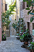 Enge Gasse der Altstadt von Korcula, Insel Korcula, bei Dubrovnik, Dalmatien, Kroatien, Südosteuropa