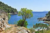 Blick auf Bucht Pupnatska Luka, Pupnat, Insel Korcula, bei Dubrovnik, Dalmatien, Kroatien, Südosteuropa