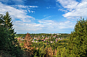  Mountain, forest, Liebesbankweg, view, Bocksberg, Hahnenklee, Harz, Lower Saxony, Germany, Europe 