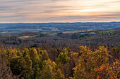  Trudenstein, sunset, golden hour, cliff, forest, Harz, Saxony-Anhalt, Germany, Europe 