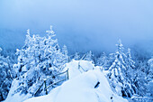  snow, winter, cliff, forest, Hammersteinklippe, Upper Harz, Harz, Lower Saxony, Germany, Europe 