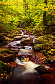 Wald, Wasser, Fluss, Wasserfall, Tal, Ilsetal, Ilsenburg, Harz, Sachsen-Anhalt, Deutschland, Europa