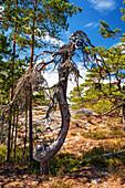  river, lake, view, forest, forests, tree, wilderness, Sweden, Europe 