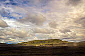  horses, highlands, desert, volcanic landscape, barren, mountains, Landmannalaugar, Iceland, Europe 