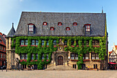 Rathaus, Quedlinburg, Sommer, Pflanzen, Marktplatz, Harz, Sachsen-Anhalt, Deutschland, Europa