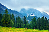 Burg, Schloss, Märchenschloss, Nebel, Berge, Neuschwanstein, Schwangau, Bayern, Deutschland, Europa