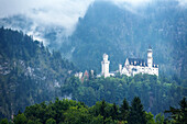 Burg, Schloss, Märchenschloss, Nebel, Berge, Neuschwanstein, Schwangau, Bayern, Deutschland, Europa