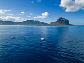  Aerial view of tour boats in the sea during a whale and dolphin watching tour with coastline and Le Morne mountain in the distance, Le Morne, Rivière Noire, Mauritius, Indian Ocean 