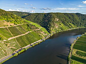 Luftaufnahme der Mosel mit Weinbergen, Minheim, Rheinland-Pfalz, Deutschland, Europa